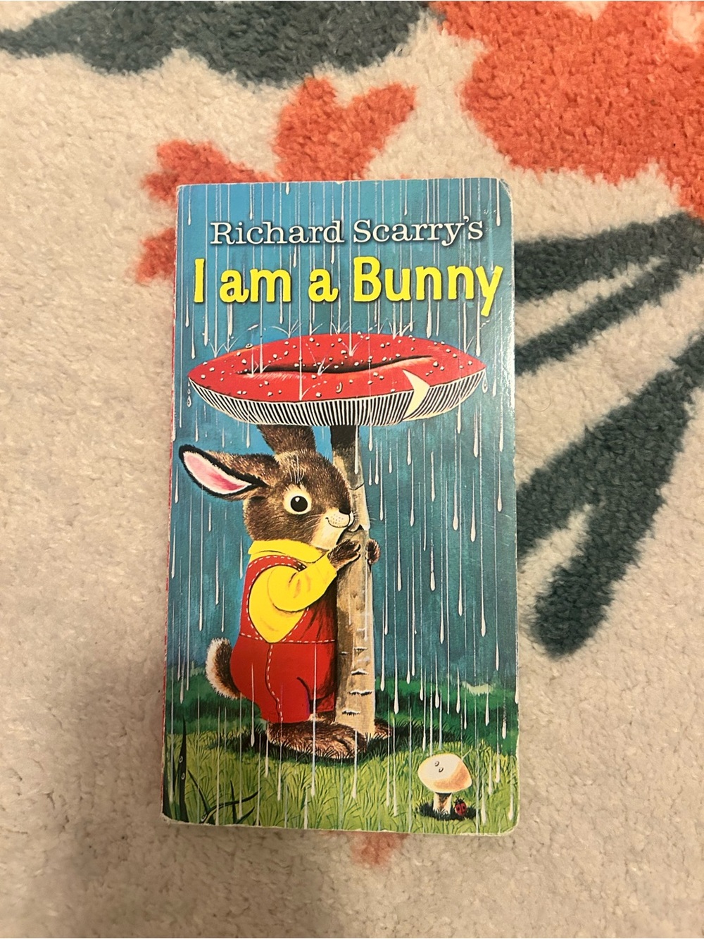 I am a bunny
